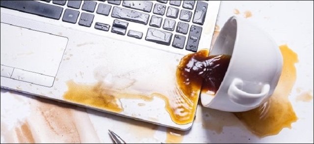 What should you do to save your laptop if you accidentally spill water or coffee? 1