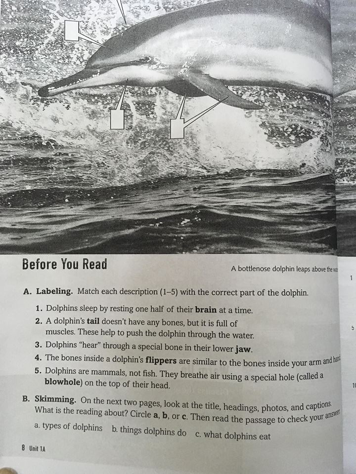 Reading explorer 1 cengage learning 