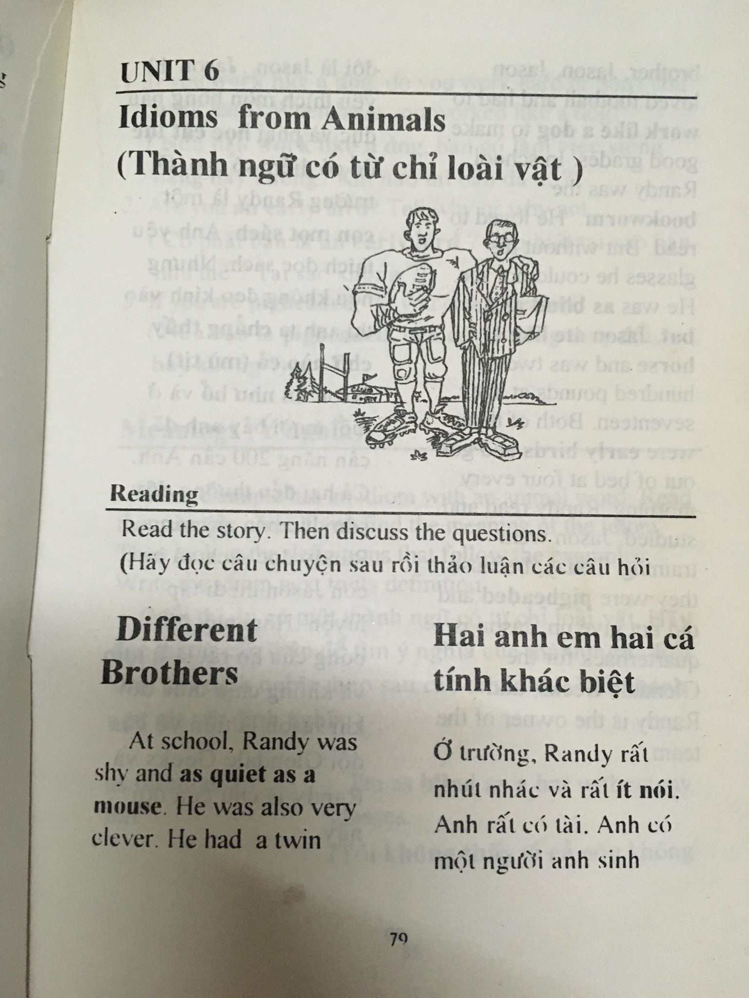 Idioms for everyday use 