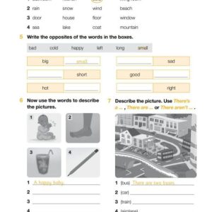 Academy Stars Workbook 3