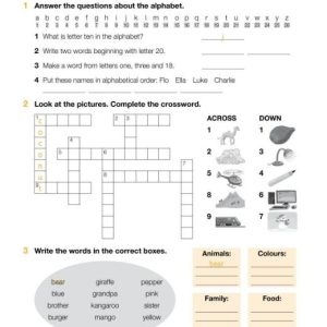 Academy Stars Workbook 3