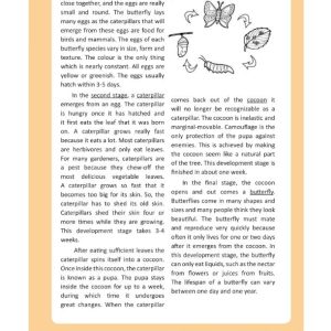 Sách IELTS – The Ultimate Guide to Academic Reading