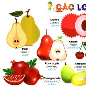 Sách Từ điển anh bằng hình chủ đề hoa, rau, củ, quả