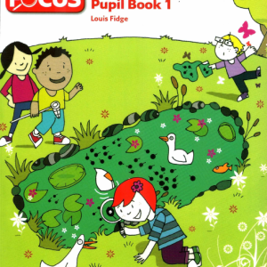 Sách Collins Primary Focus - Grammar and Punctuation Pupil Book 1, Louis Fidge