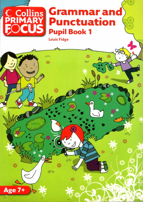 Sách Collins Primary Focus - Grammar and Punctuation Pupil Book 1, Louis Fidge