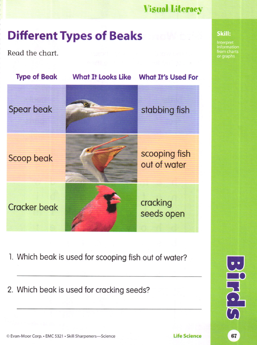 Sách Skill Sharpeners Science, Grade 1