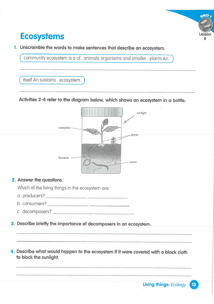 Sách Macmillan Science 5 Workbook - David and Penny Glover