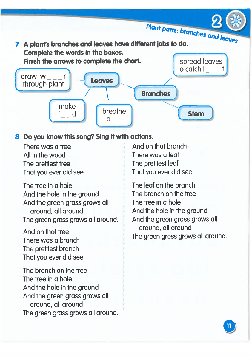 Sách Macmillan Science 3 Workbook - David and Penny Glover