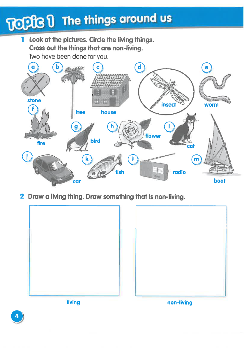 Sách Macmillan Science 1 Workbook - David and Penny Glover