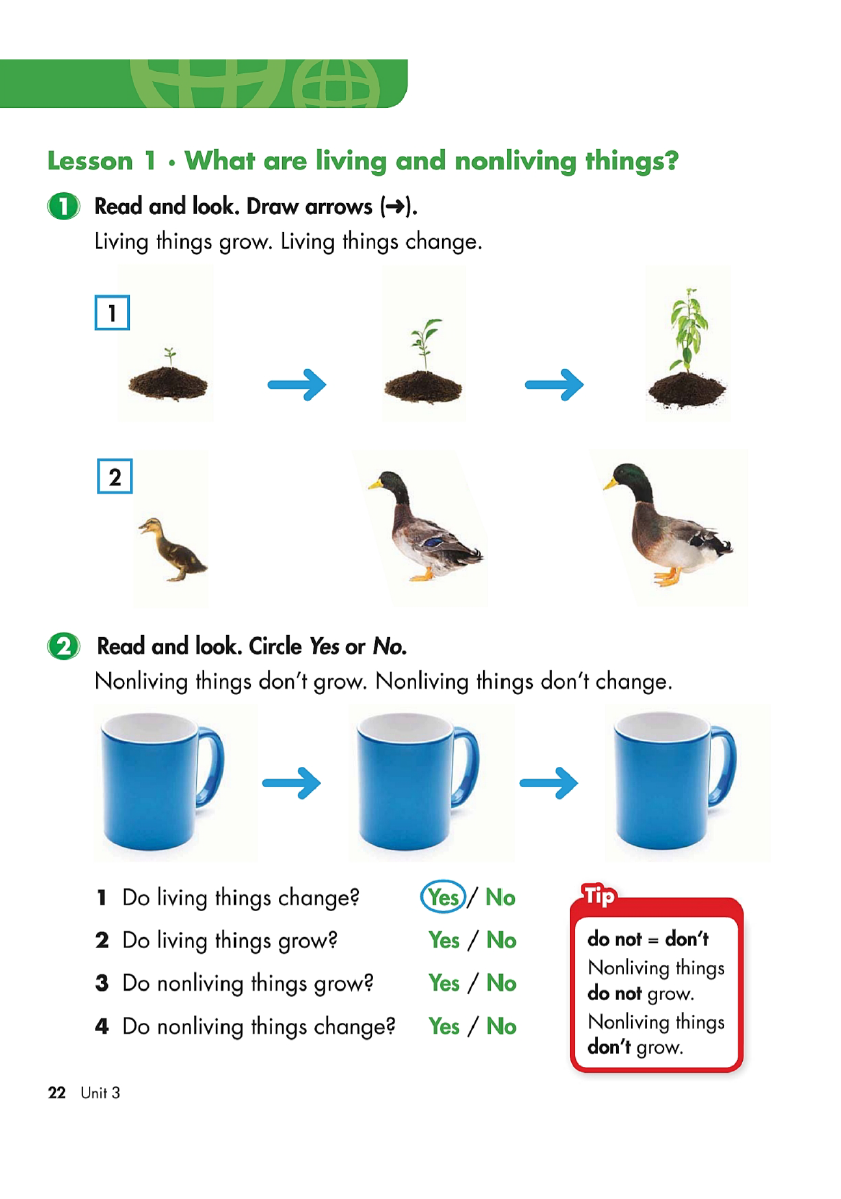 Sách Big Science 1 Workbook