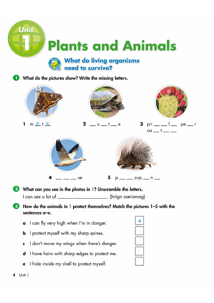 Sách Big Science 5 Workbook