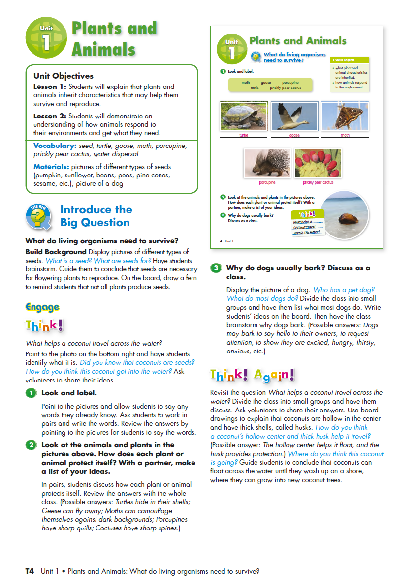 Sách Big Science 5 Teacher’s Book