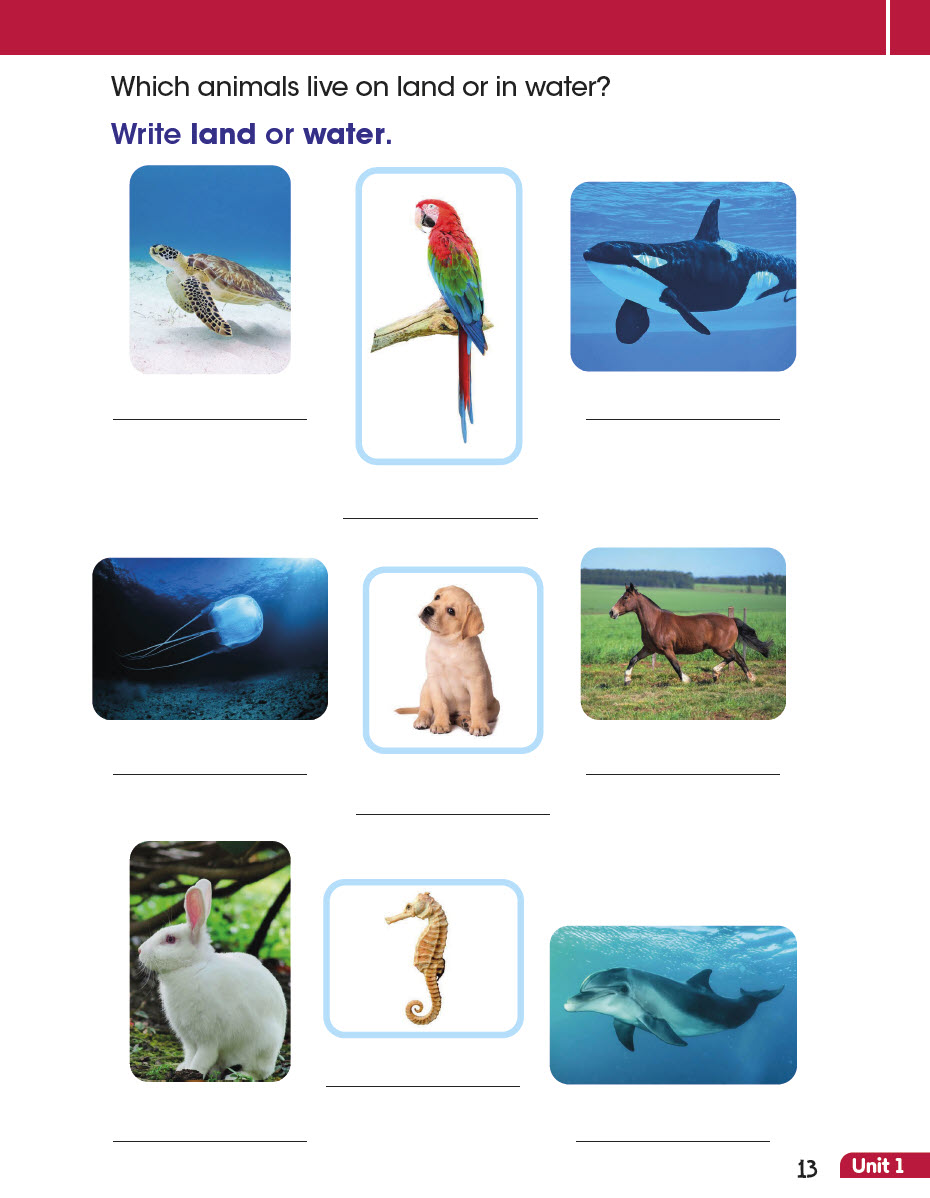 Sách English Through Science Elementary 2 - Dinorah Pous