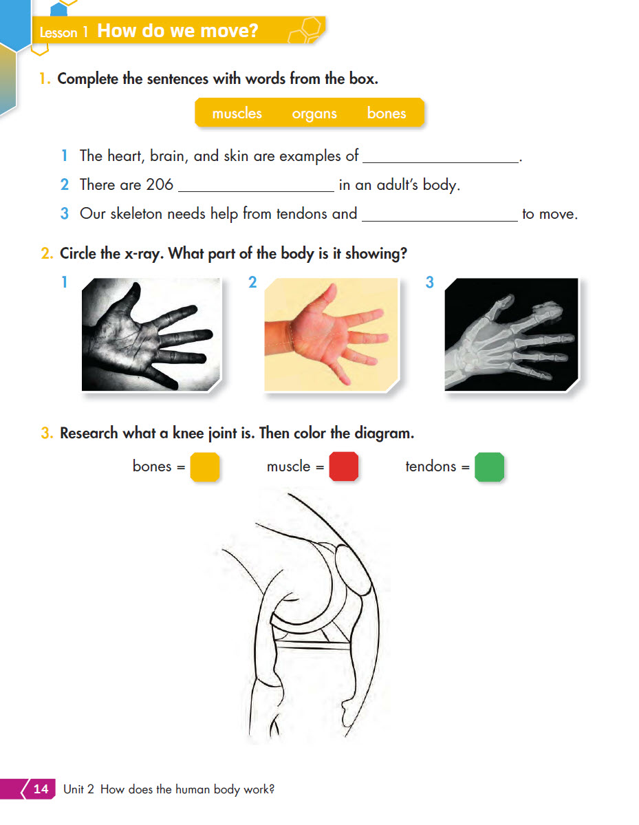 Sách Phenomenal Science 3 Workbook