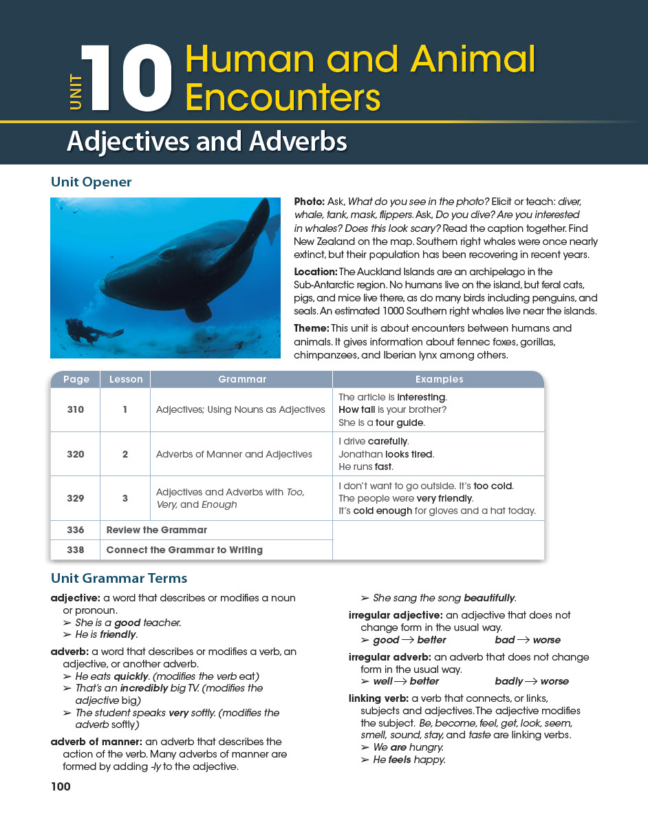 Sách Grammar Explorer 1 Teacher’s Guide 1 - Daphane Mackey, Kristin Sherman