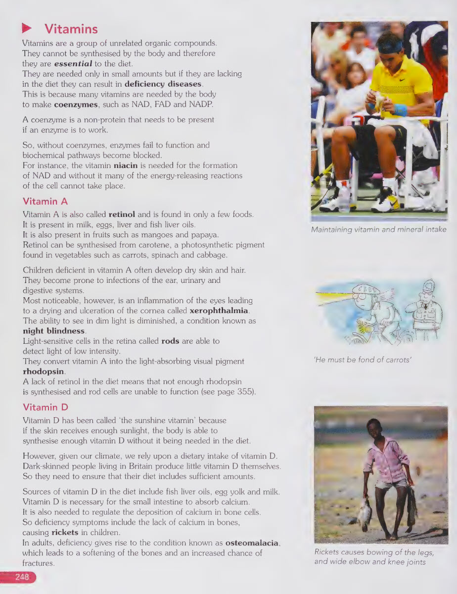 Sách Advanced Biology For You - Gareth Williams, 2nd Edition