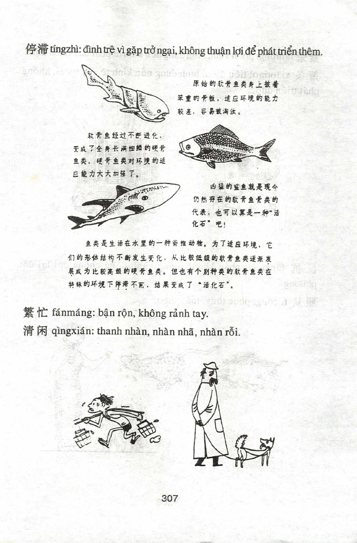 Sách Sổ tay từ đồng nghĩa và phản nghĩa Hán Việt