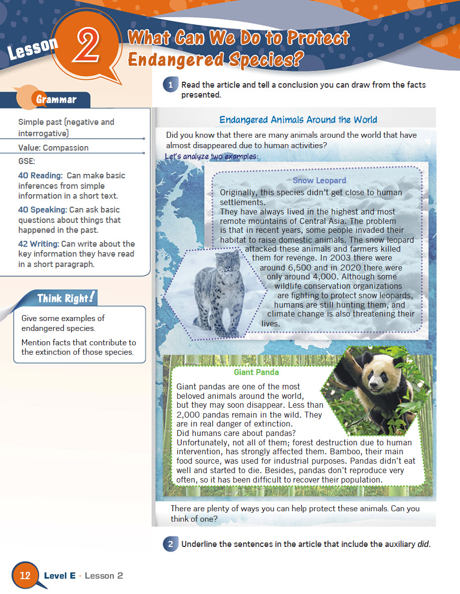 Sách Grammar Right Level E Student Book - Liliana Del Carmen, Plata Quiroz